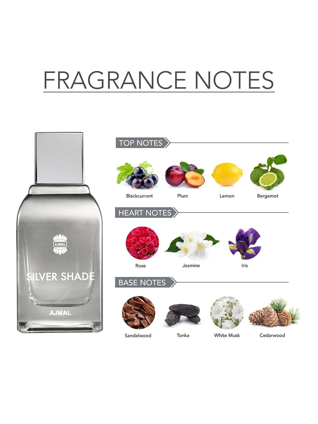 SILVER SHADE Perfume 100ML for Men