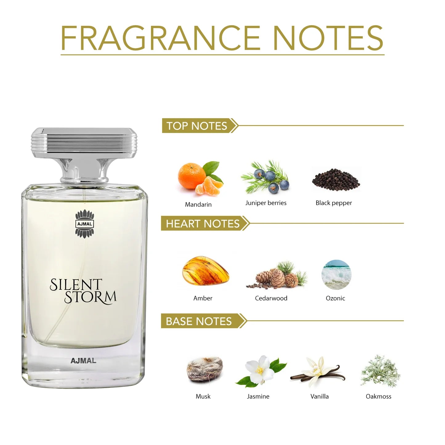 SILENT STORM Perfume 100ML for Men
