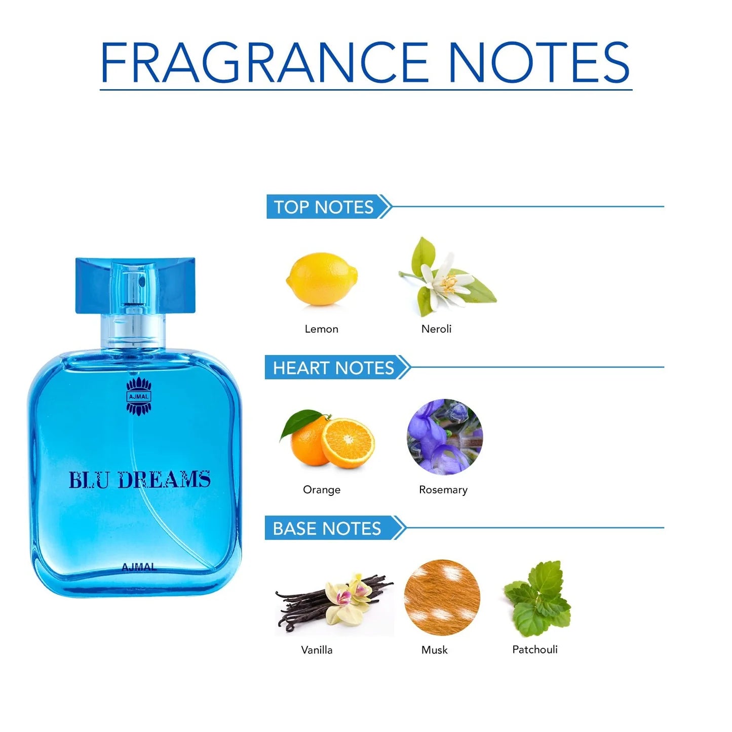 BLU DREAMS Perfume 100ML for Men